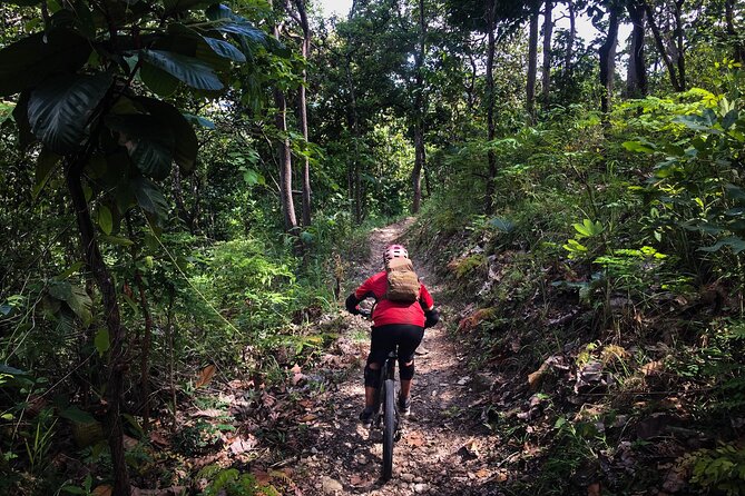 Smoke on the Water Trail Mountain Biking Tour Chiang Mai - How Much Value Do You Get For $114.03?