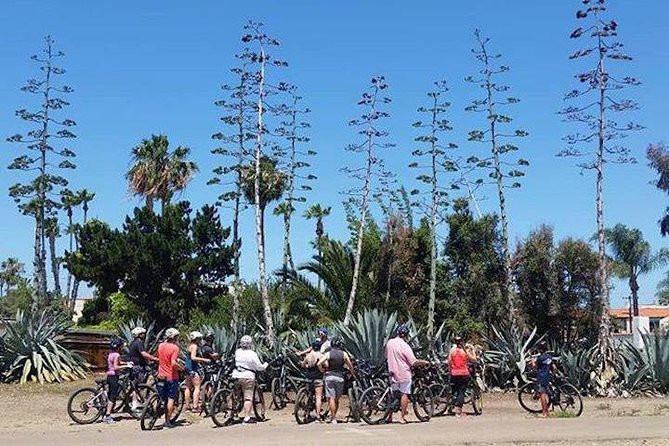 SoCal Riviera Electric Bike Tour of La Jolla and Mount Soledad - Children’s Pool and Windansea Beach