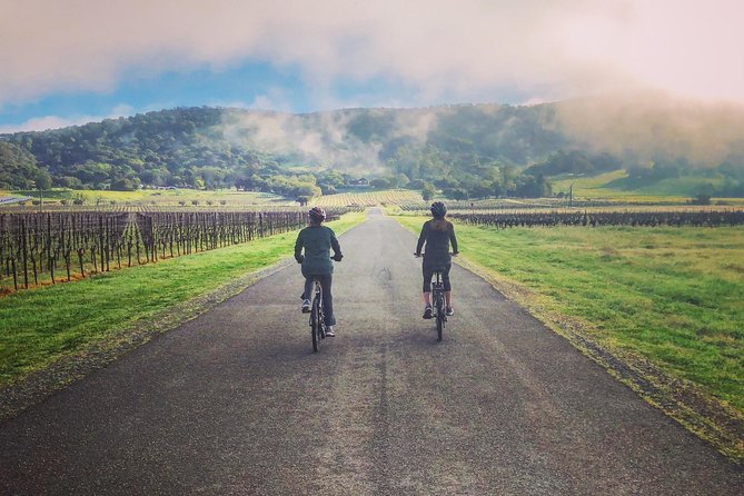 Sonoma Valley Pedal Assist Bike Tour with Lunch - Starting at 9:30 near Sonoma Plaza