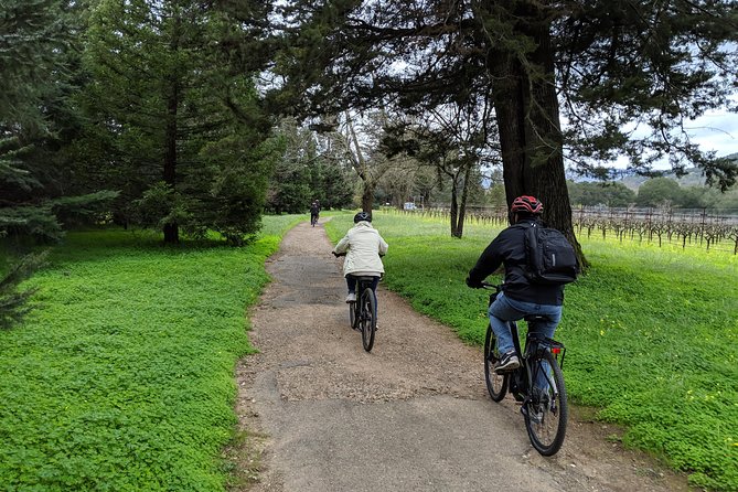 Sonoma Valley Pedal Assist Bike Tour with Lunch - Vella Cheese Company closes the day