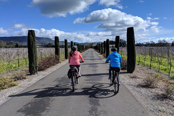 Sonoma Valley Pedal Assist Bike Tour with Lunch - Who will enjoy this Sonoma bike tour