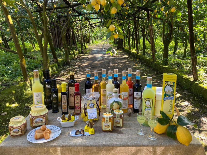 Sorrento: Coast E-Bike Tour with Limoncello Tasting - Riding from Sorrento into the countryside