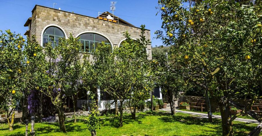 Sorrento: Coast E-Bike Tour with Limoncello Tasting - Olive trees, lemon groves, and quiet local roads