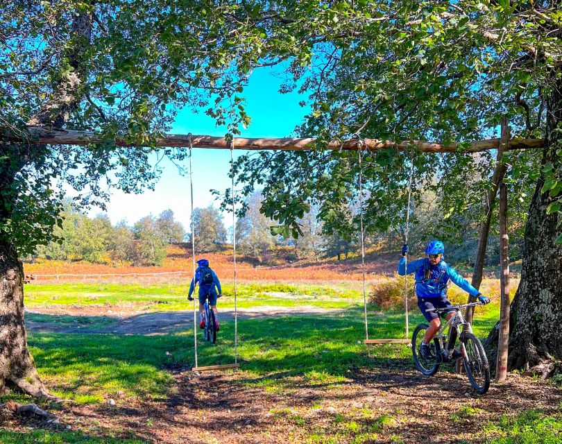 Sorrento: E-bike Oil & Lemon Tour with Tasting - Who should choose this Sorrento bike tour?