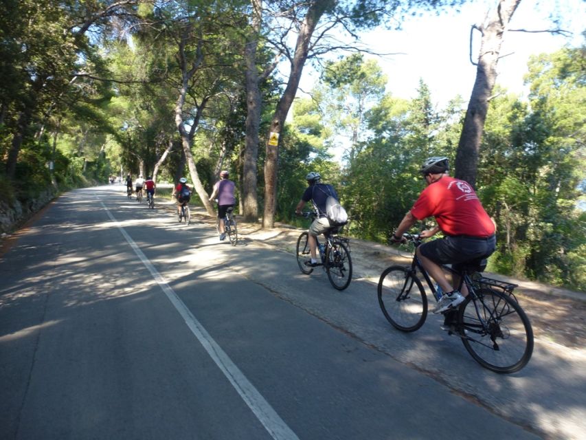 Split 3-Hour Guided Bike Tour - Who should book this Split bike tour?