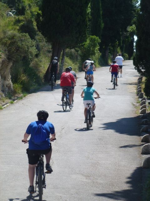 Split 3-Hour Guided Bike Tour - Marjan Hill changes the pace