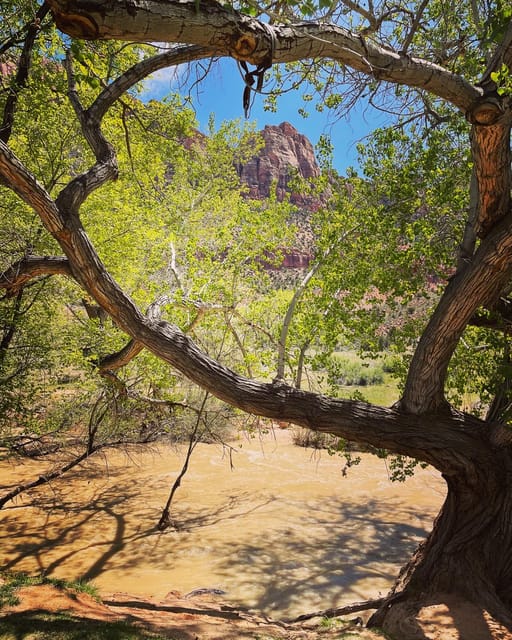 Springdale: Guided eBike Tour in Zion National Park - Court of the Patriarchs: a strong first viewpoint