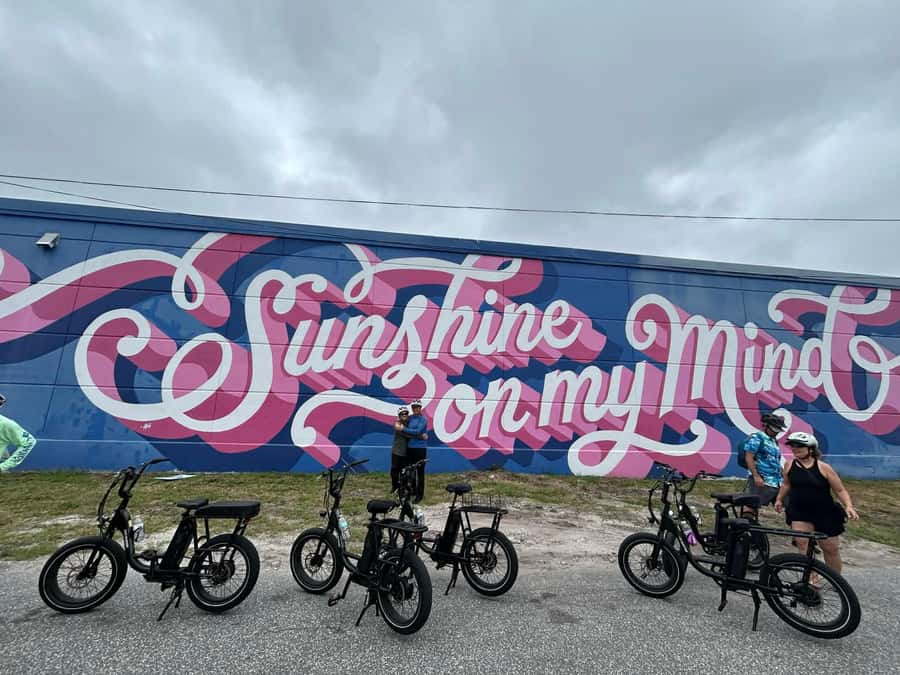St. Petersburg, FL: Sightseeing & Murals Electric Bike Tour - What the guides add to the ride