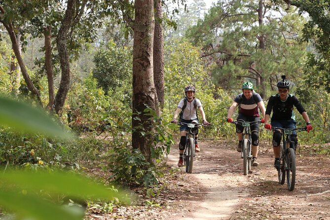 Stairway to Heaven Trail Mountain Biking Tour Chiang Mai - Who should book this Chiang Mai bike tour?