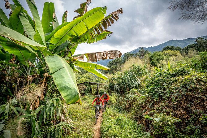 Stairway to Heaven Trail Mountain Biking Tour Chiang Mai - Starting at Trailhead with coffee and a proper setup