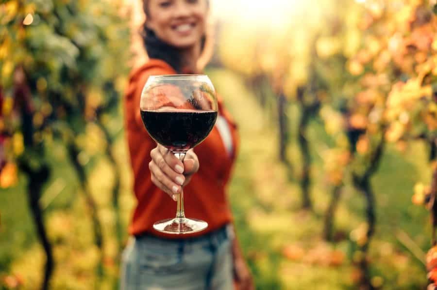 Stellenbosch: Countryside Banhoek valley E-Bike Wine Tour - Why Banhoek Valley works so well by e-bike