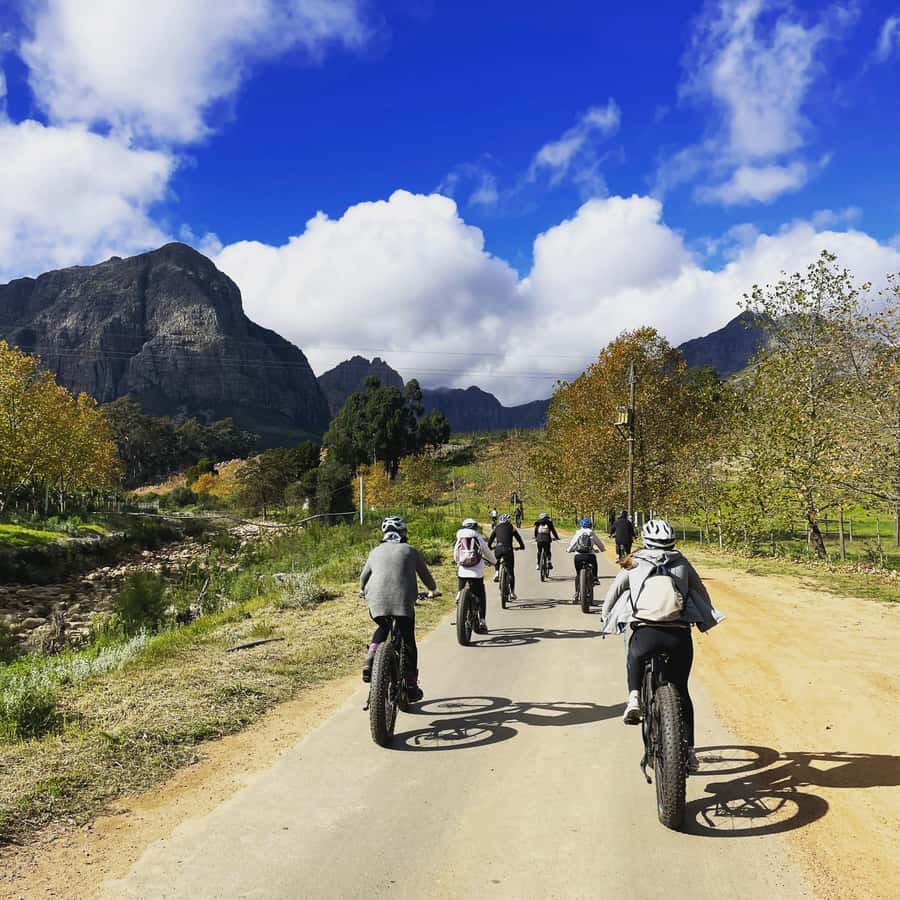 Stellenbosch: Countryside Banhoek valley E-Bike Wine Tour - Riding beneath the Drakenstein Mountains