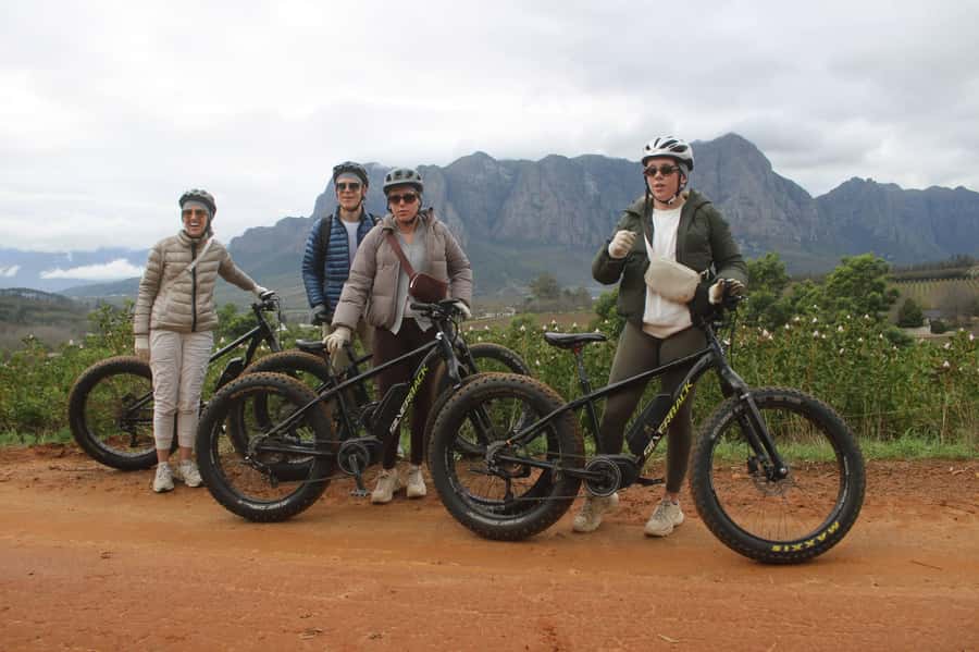 Stellenbosch: Countryside Banhoek valley E-Bike Wine Tour - The second winery stop and what you will taste