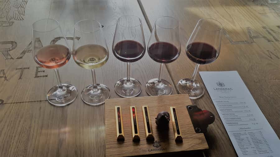 Stellenbosch: Historical Bike Tour & Wine Tasting - Second estate: Cape Dutch buildings and chocolate pairing