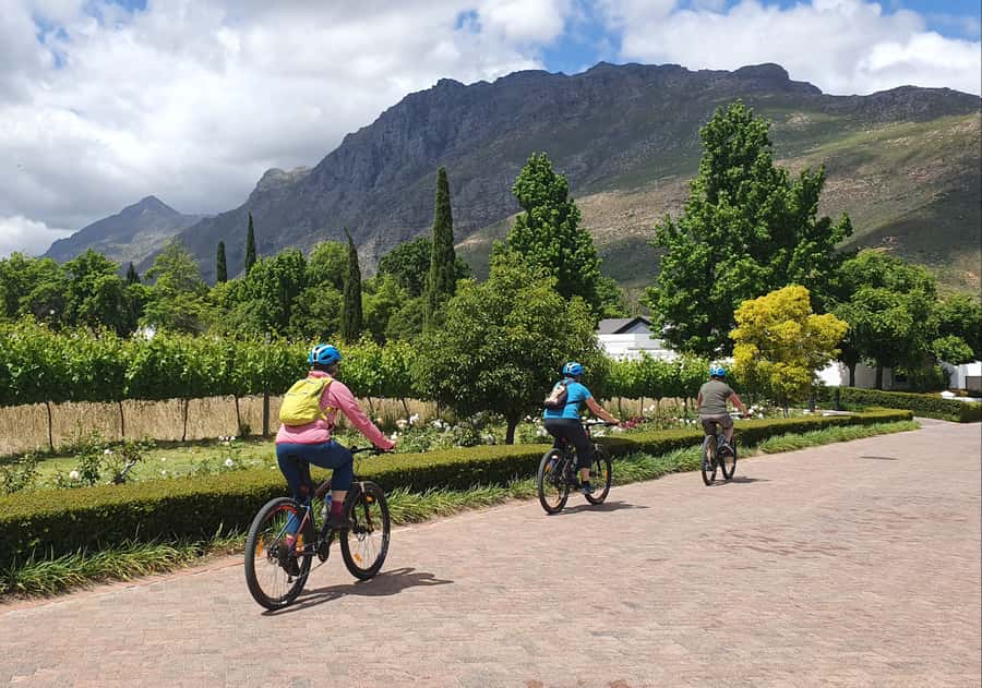 Stellenbosch: Historical Bike Tour & Wine Tasting - Weather, flexibility, and booking details