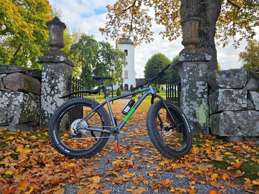 Stockholm: Fat Bike Forest Adventure with Lunch and Sauna - Lakes, viewpoints, and the changing seasons