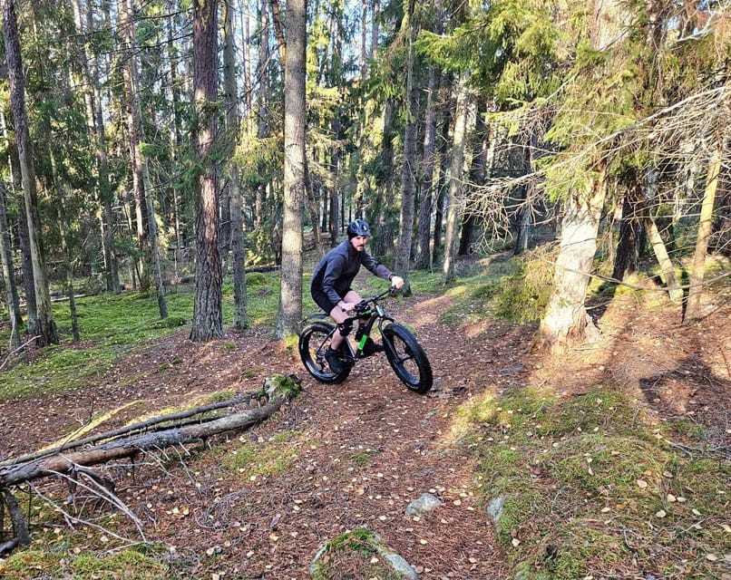 Stockholm: Fat Bike Forest Adventure with Lunch and Sauna - What the $138 price includes