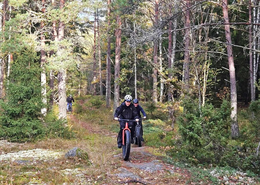 Stockholm: Fat Bike Forest Adventure with Lunch and Sauna - Practical details before you reserve