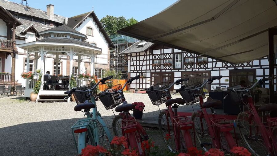 Strasbourg: 1-Day Bike Rental - Riding to the Cathédrale