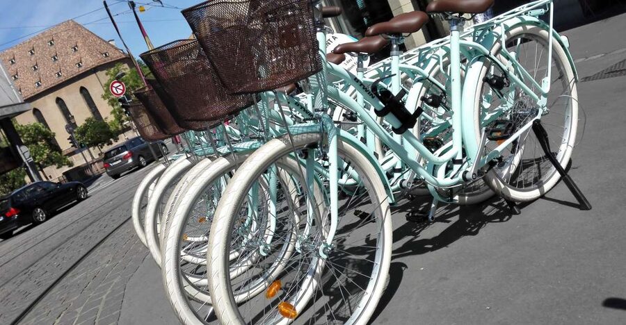 Strasbourg: 1-Day Bike Rental - Pedaling through Petite France