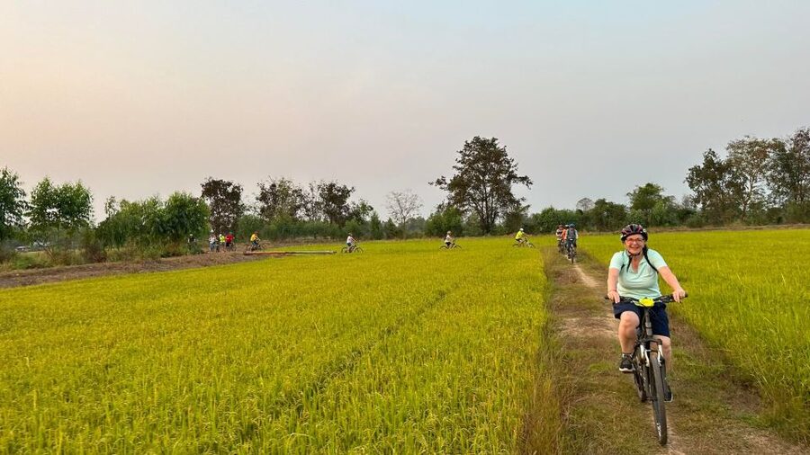 Sukhothai: 2.5-Hours Guided Countryside Sunset Bike Tour - Sunset over the rice fields