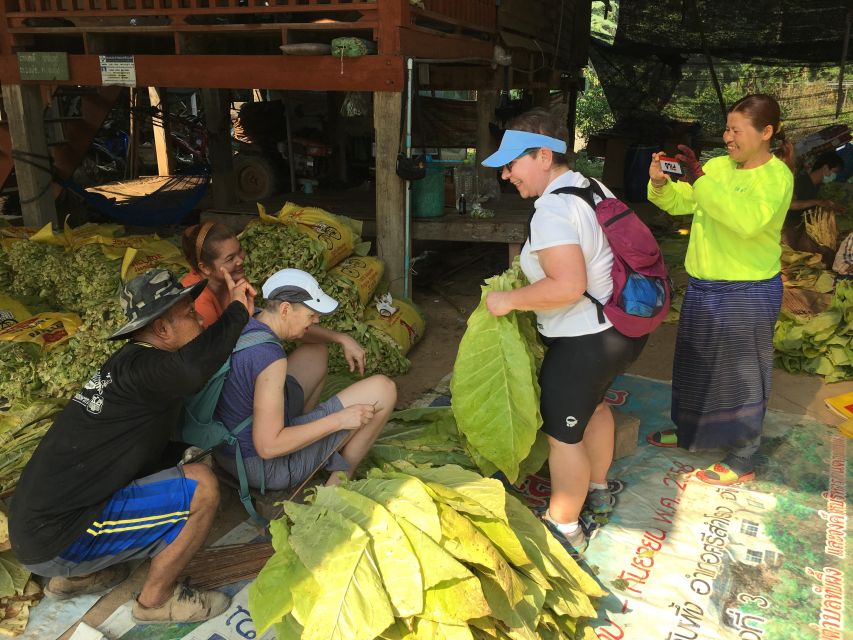 Sukhothai: Half-Day Countryside Bike Tour - How the Five Hours Usually Feel