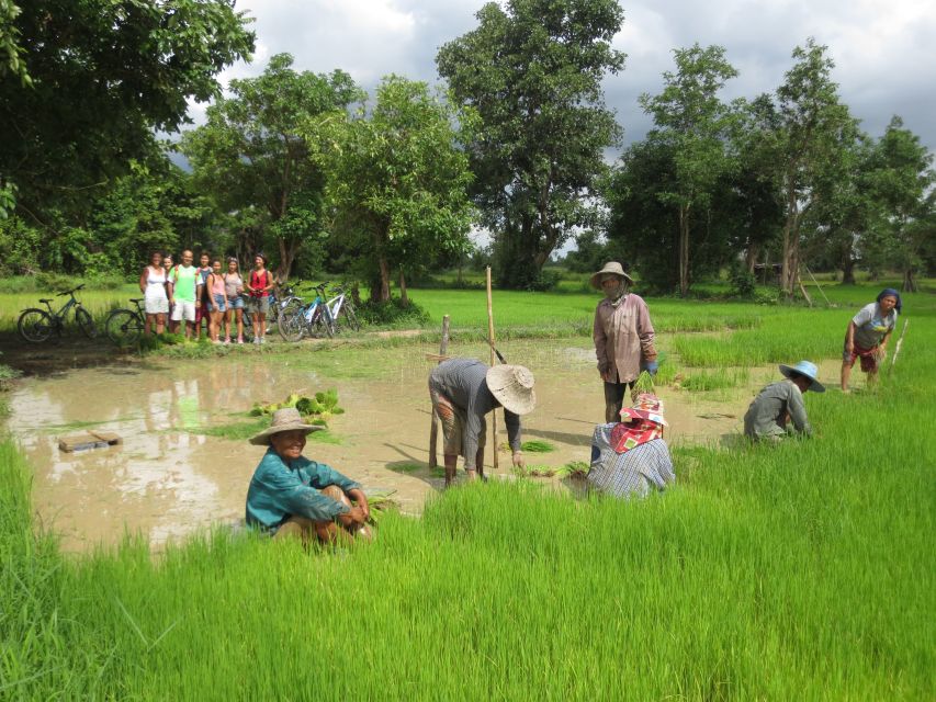 Sukhothai: Half-Day Countryside Bike Tour - Rice Whiskey and Rural Traditions