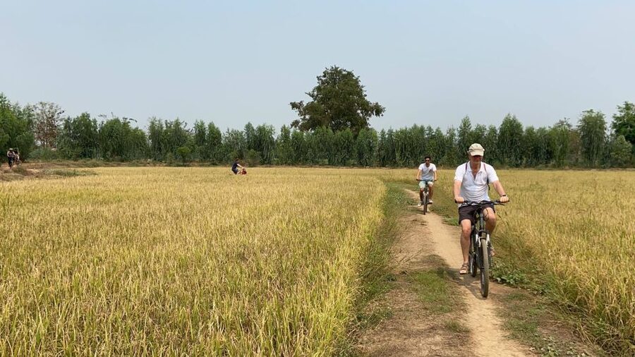 Sukhothai: Half-Day Countryside Bike Tour - Lunch, Snacks, and the $32 Price