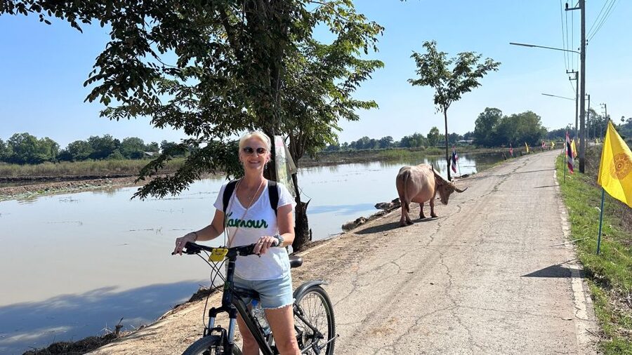 Sukhothai: Half-Day Countryside Bike Tour - Hotel Pickup and Getting Set Up
