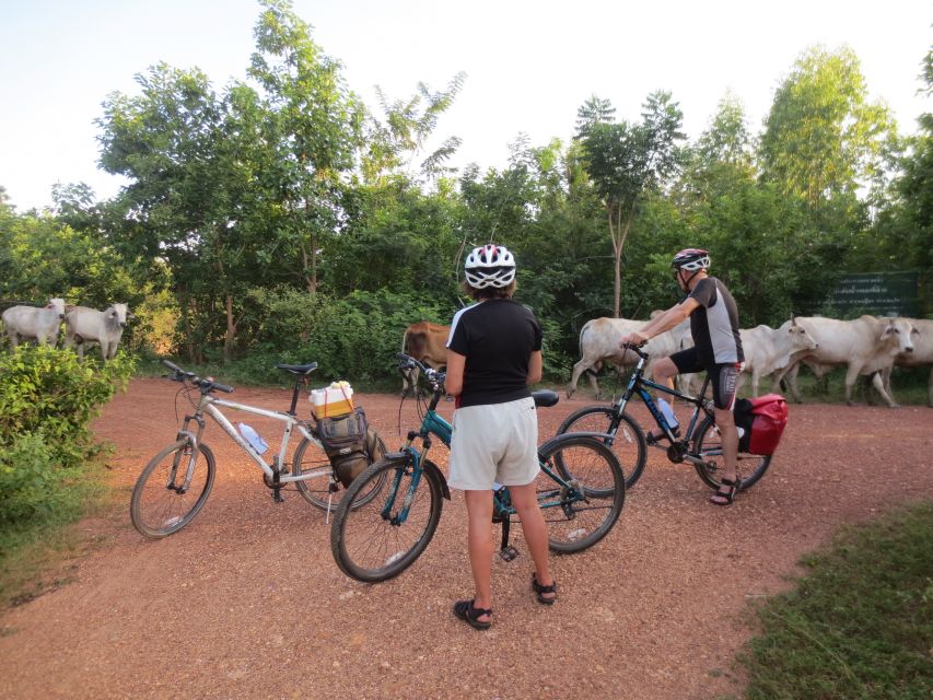 Sukhothai: Historical Park & Countryside Cycling Tour - Rice paddies, canals, and the Kao Laung view