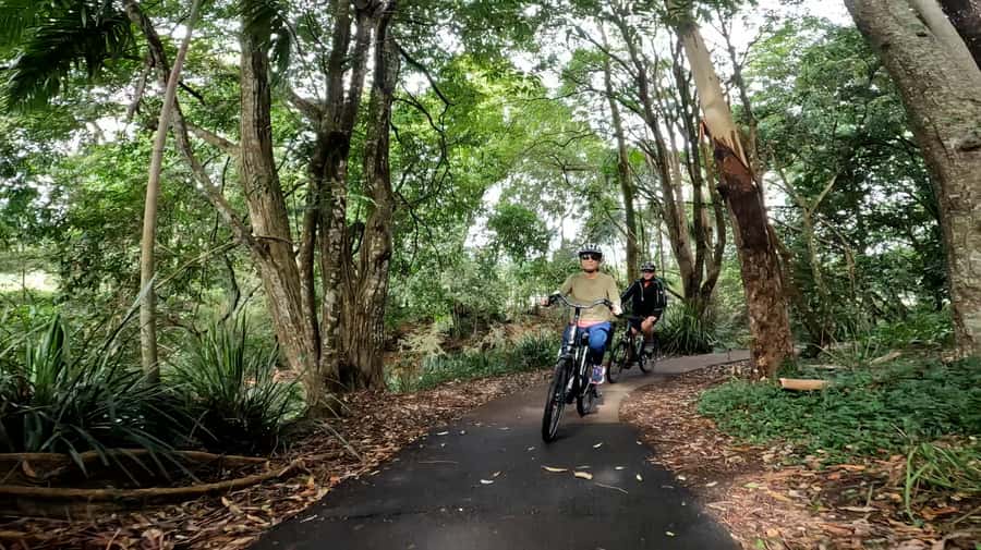 Sunshine Coast: Maleny Magic Guided e-Bike Tour - Why this Maleny ride works so well