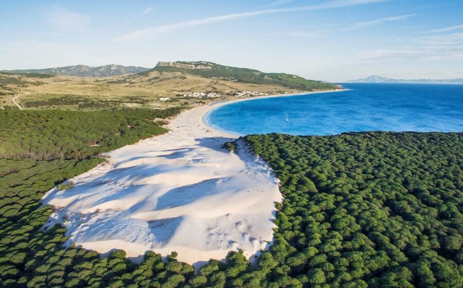 Tarifa: Ebike Rental Ruta del Estrecho - Riding through dunes and pine forest toward Bolonia