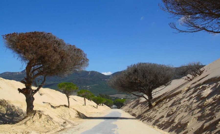 Tarifa: Ebike Rental Ruta del Estrecho - Five hours or ten hours on La Ruta del Estrecho