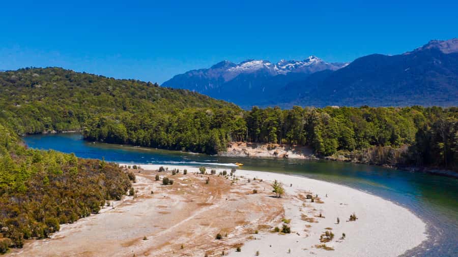 Te Anau: River Jet Boat and Bike Ride Tour with Local Guide - A 15 minute walk in Fiordland forest