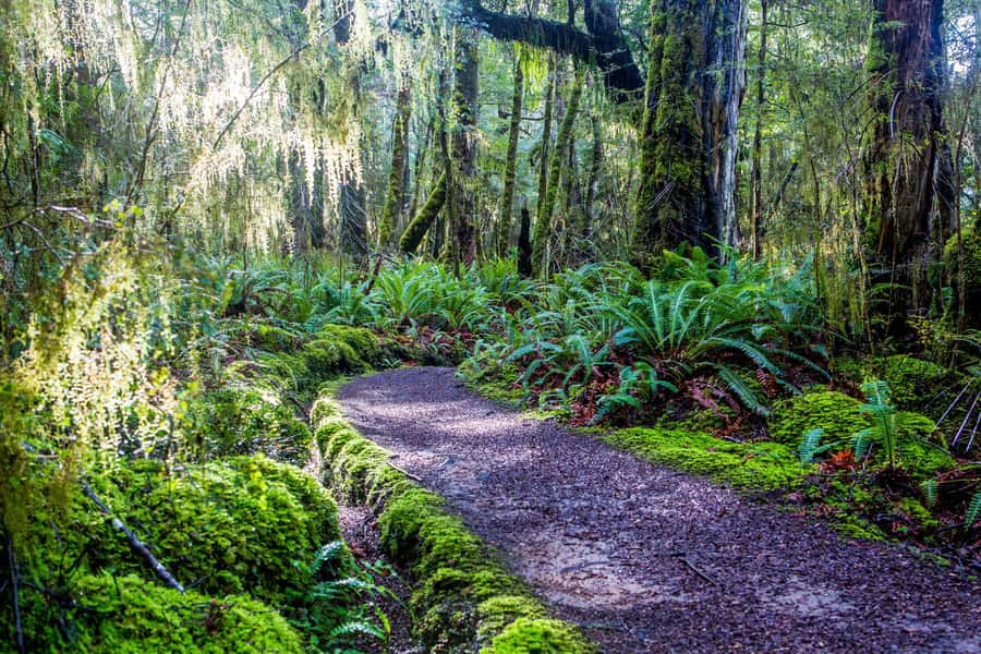 Te Anau: River Jet Boat and Bike Ride Tour with Local Guide - Who should book this experience?