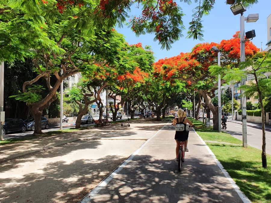 Tel Aviv 3-Hour Easy Bike Tour - Who should book this Tel Aviv bike tour?