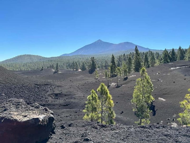 Tenerife: premium e-bike ride at Chineyro volcanic area - The first climb through village country