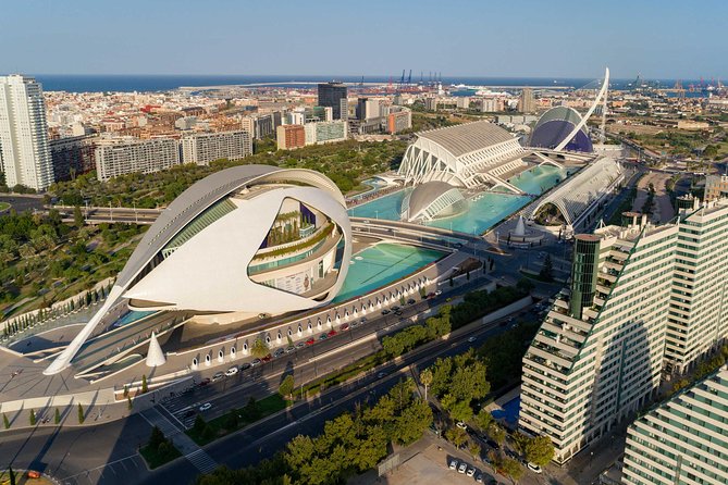 The Beauty of Valencia by Bike: Private Tour - The City of Arts and Sciences from two wheels