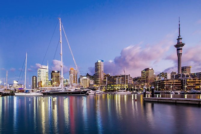 The City Lights: a unique electric bike tour of Auckland by night! - Starting beside Princes Wharf