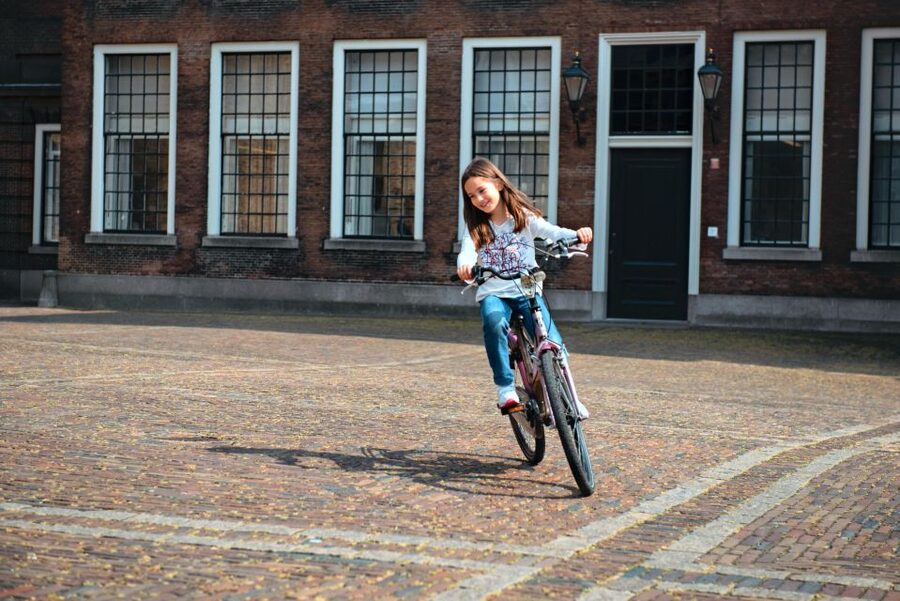 The Hague: Highlights Bike Tour - Key points at a glance