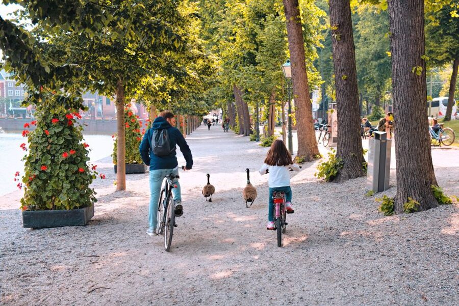 The Hague: Highlights Bike Tour - Starting in the city center