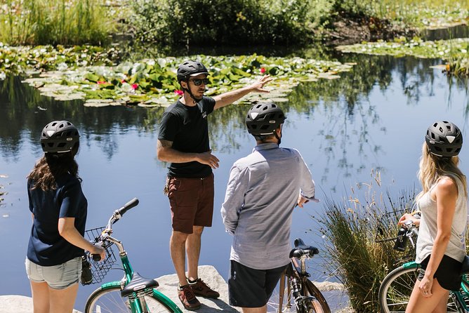 The Stanley Park Bicycle Tour by Cycle City Tours - The seawall, skyline, and mountain views