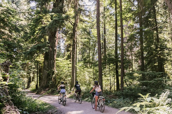 The Stanley Park Bicycle Tour by Cycle City Tours - Through Stanley Park’s temperate rainforest