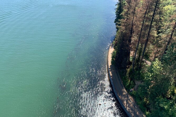 The Ultimate Stanley Park E-Bike Tour - Forest trails, Beaver Lake, and the park’s quieter side
