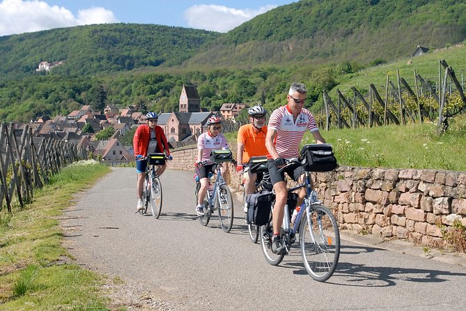Through Alsace Vineyards and Wine Villages Private Bike Tour - Key things to know before you book