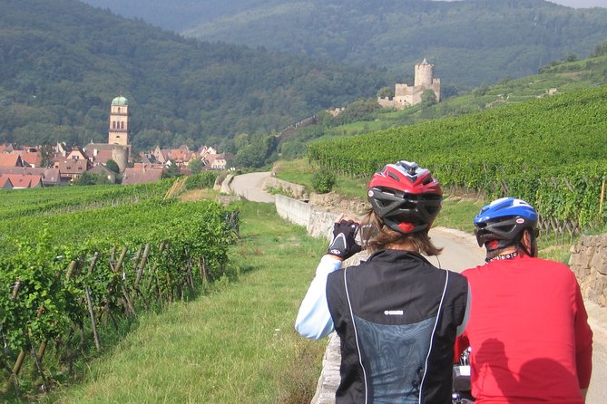Through Alsace Vineyards and Wine Villages Private Bike Tour - Why a private bike tour works well here