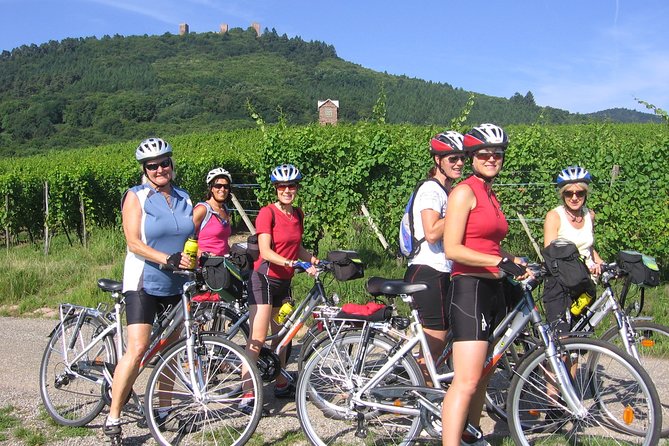 Through Alsace Vineyards and Wine Villages Private Bike Tour - What the $132.16 price gets you