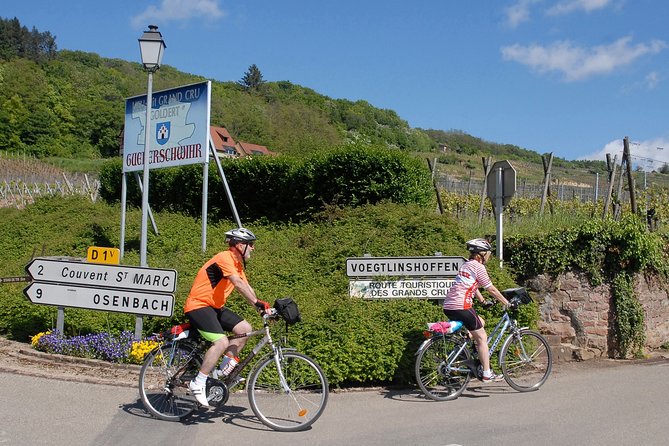 Through Alsace Vineyards and Wine Villages Private Bike Tour - Who will enjoy this ride most
