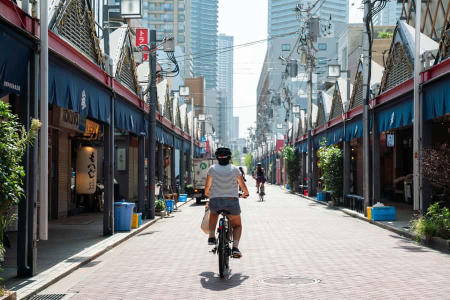 Tokyo: 3-hour Guided E-Bike Tour of the City's Hidden Gems - The Tokyo Bay Route: bridges, open space, and sunset