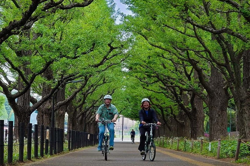 Tokyo: 3h Private E-bike Tours, Starting at Your Hotel - What three hours on an e-bike really feels like